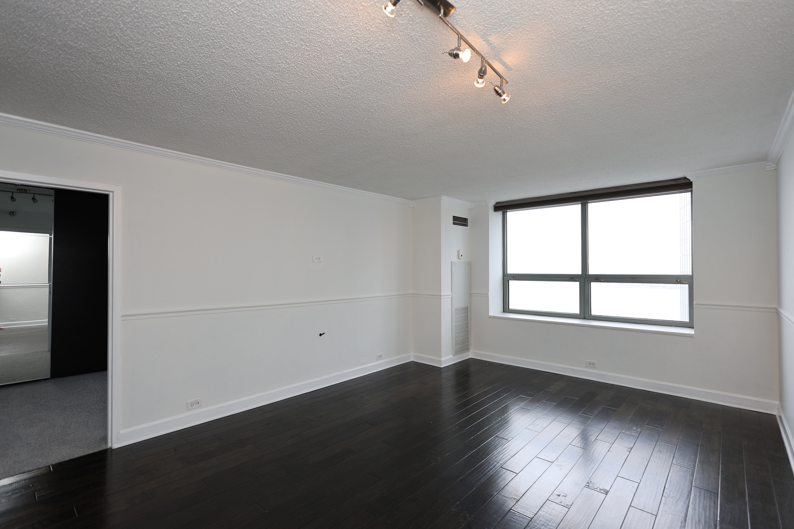 474 N Lake Shore Drive 4309