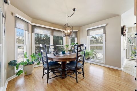 Tiny photo for 143 Bush Drive, Elwood, IL 60421 (MLS # 12530115)