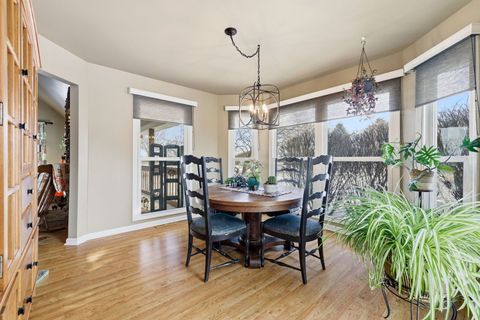 Tiny photo for 143 Bush Drive, Elwood, IL 60421 (MLS # 12530115)