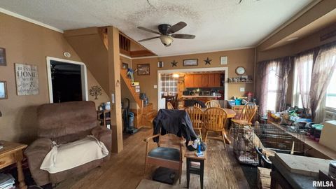 Tiny photo for 106 E NORTH Street, Sesser, IL 62884 (MLS # EB456496)