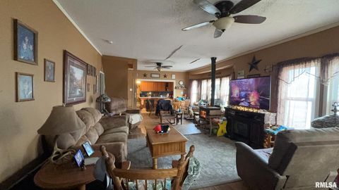 Tiny photo for 106 E NORTH Street, Sesser, IL 62884 (MLS # EB456496)