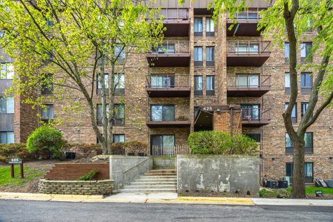 Photo of 425 WALNUT CREEK Lane #1608, Lisle, IL 60532 (MLS # 12633364)