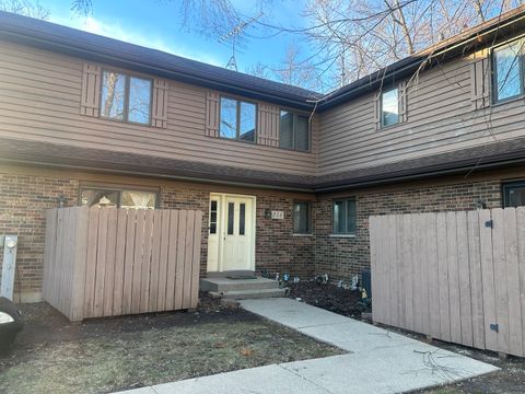 Photo of 356 N Airlite Street #356, Elgin, IL 60123 (MLS # 12587289)