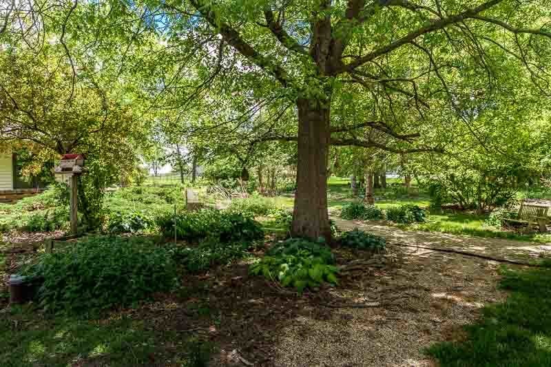 12425 Olson Road