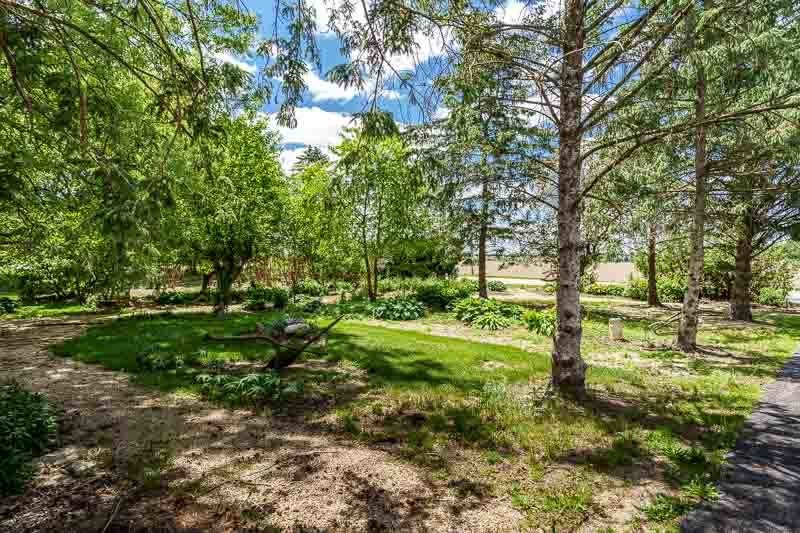 12425 Olson Road
