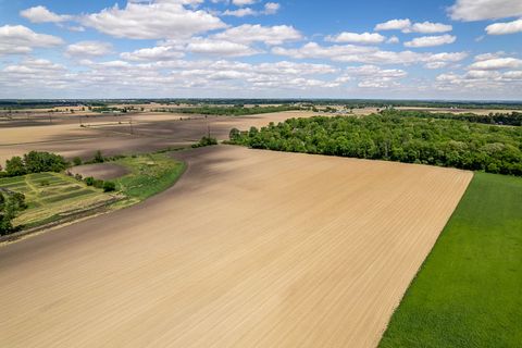 Tiny photo for Caledonia, IL 61011 (MLS # 12654930)