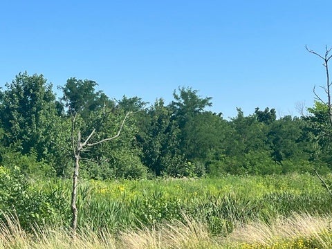 MLS: 12702472