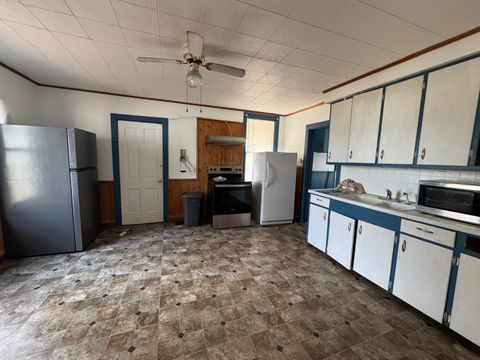 Tiny photo for 245 E Orleans Street E, Paxton, IL 60957 (MLS # 12589220)