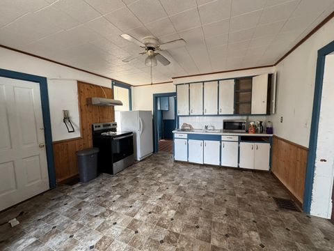 Tiny photo for 245 E Orleans Street E, Paxton, IL 60957 (MLS # 12589220)