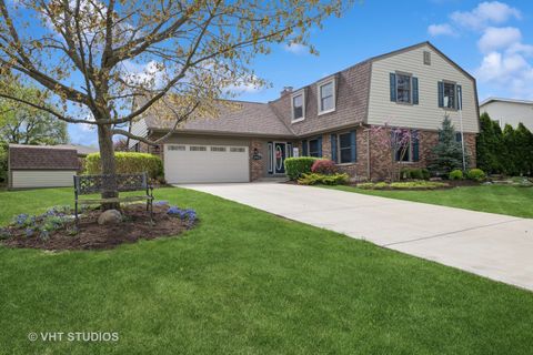 643 Summit Drive Schaumburg IL 60193