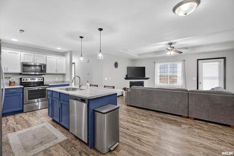 Tiny photo for 300 E FRANKLIN Street #203, Eldridge, IA 52748 (MLS # QC4269507)