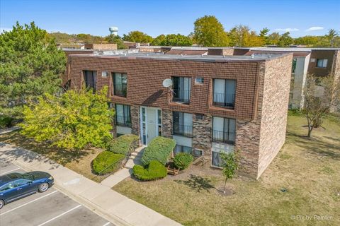 A home in Glendale Heights