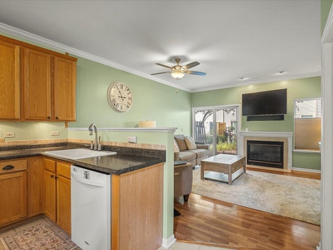 Tiny photo for 277 Nicole Drive #D, South Elgin, IL 60177 (MLS # 12731760)