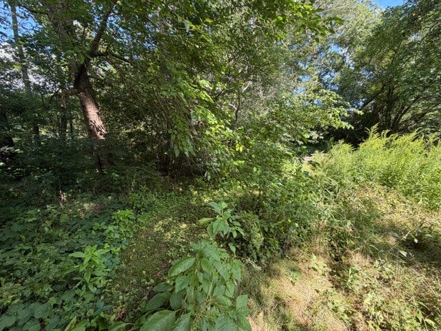 Lot 1 E Madison Street