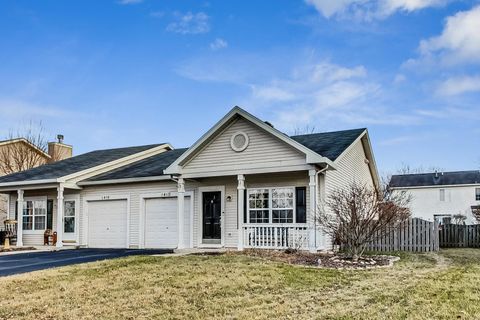 1412 Plantain Drive Minooka IL 60447