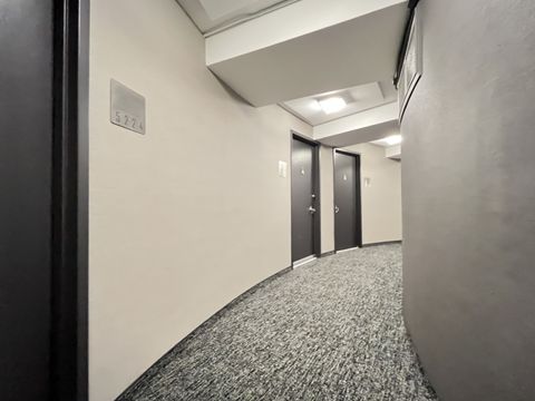 Tiny photo for 300 N State Street #5225, Chicago, IL 60654 (MLS # 12620141)