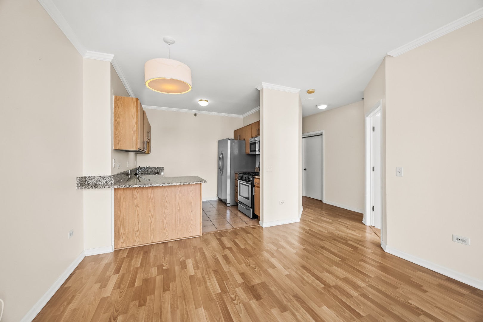 600 N Dearborn Street 1805