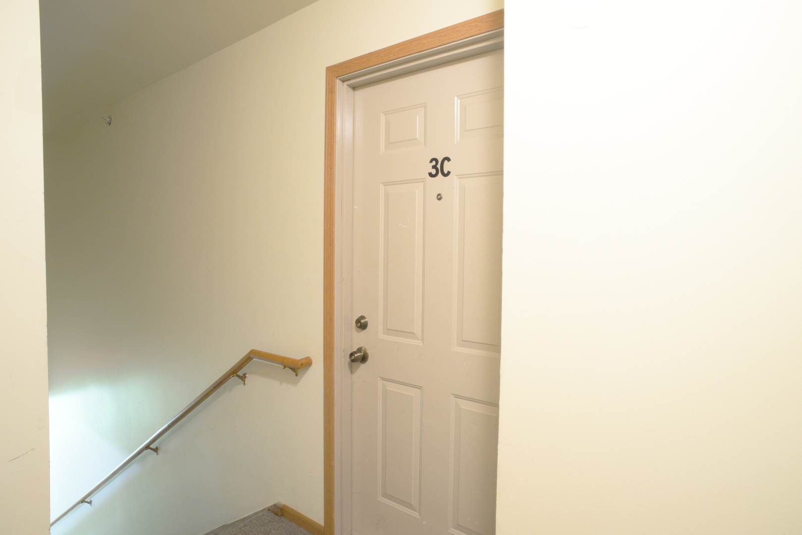 1574 W Crystal Rock Court 3C
