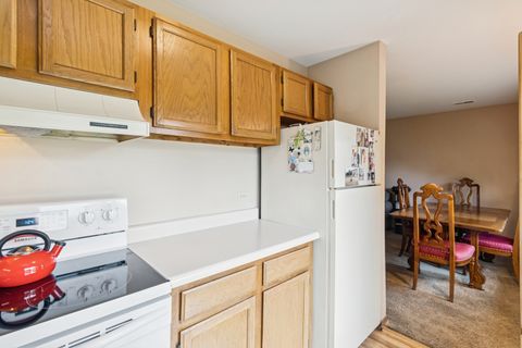 Tiny photo for 66 Gant Circle #D, Streamwood, IL 60107 (MLS # 12511380)