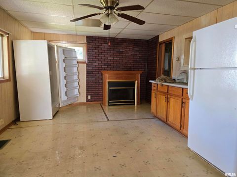 Tiny photo for 502 S FRANKLIN Avenue, Polo, IL 61064 (MLS # QC4269046)