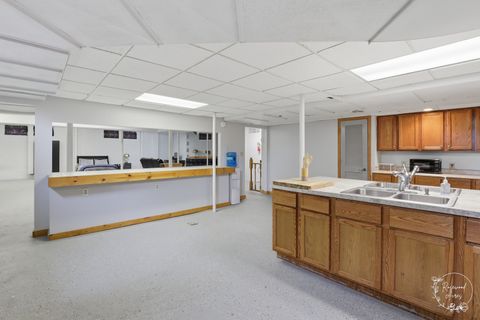 Tiny photo for 185 S Ames Street, Cabery, IL 60919 (MLS # 12657046)