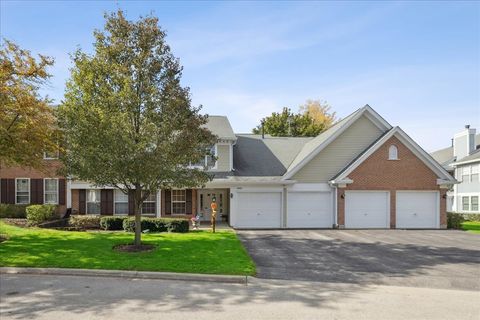 Photo of 1010 BUTTERNUT Lane #B, Mount Prospect, IL 60056 (MLS # 12551978)