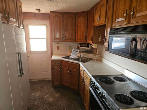 Tiny photo for 1105 Organ Street, Eldorado, IL 62930 (MLS # EB459962)