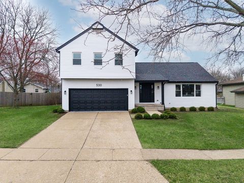 Photo of 530 Cumberland Trail, Elgin, IL 60123 (MLS # 12604056)