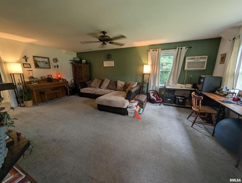 Tiny photo for 532 State Route 146, Golconda, IL 62938 (MLS # QC4265192)