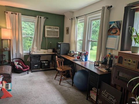 Tiny photo for 532 State Route 146, Golconda, IL 62938 (MLS # QC4265192)