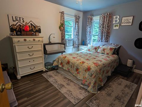 Tiny photo for 532 State Route 146, Golconda, IL 62938 (MLS # QC4265192)