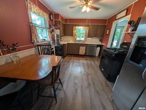 Tiny photo for 532 State Route 146, Golconda, IL 62938 (MLS # QC4265192)