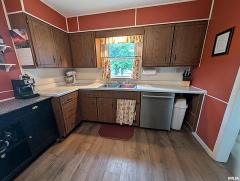 Tiny photo for 532 State Route 146, Golconda, IL 62938 (MLS # QC4265192)