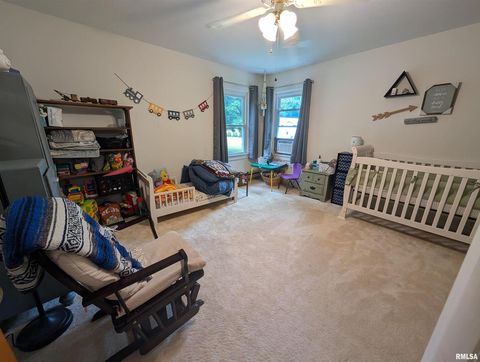 Tiny photo for 532 State Route 146, Golconda, IL 62938 (MLS # QC4265192)