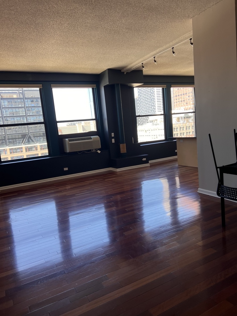 600 S Dearborn Street 1209