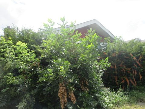 Tiny photo for 3709 W 66TH Place, Chicago, IL 60629 (MLS # 12461745)