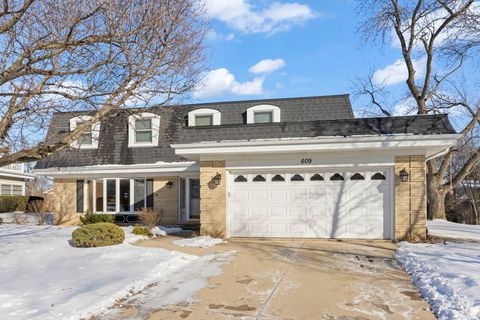 609 DEBORAH Court Schaumburg IL 60193