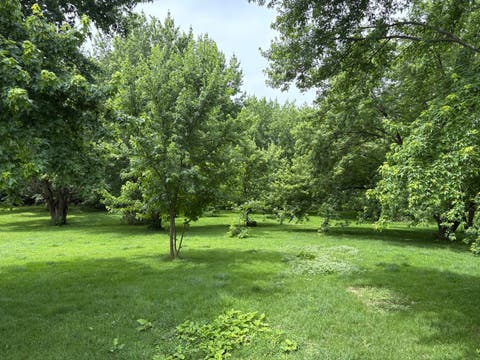 Tiny photo for 24830 S Hemphill Drive, Elwood, IL 60421 (MLS # 12678756)