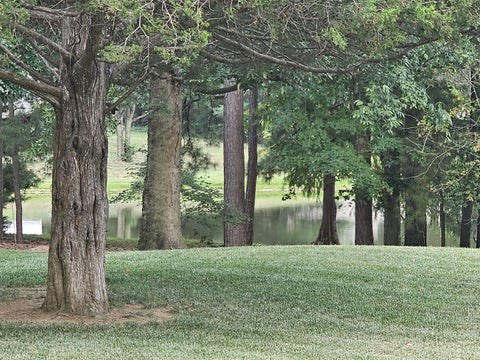 Tiny photo for 14687 N Lost Lake Lane, Mt Vernon, IL 62864 (MLS # 12717495)