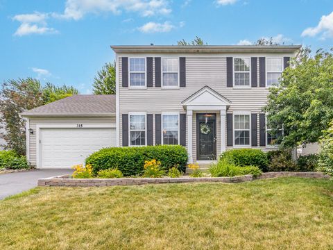 315 Kensington Drive Oswego IL 60543