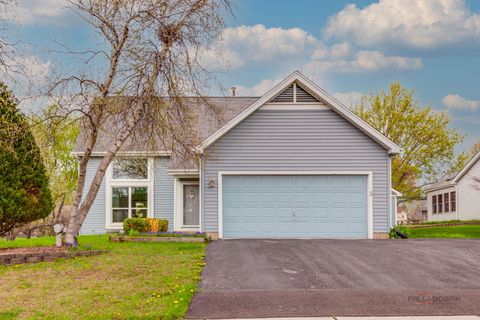 17362 W Dartmoor Drive Grayslake IL 60030