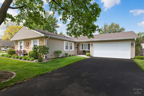 Photo of 1714 PARK Drive, Schaumburg, IL 60194 (MLS # 12604409)