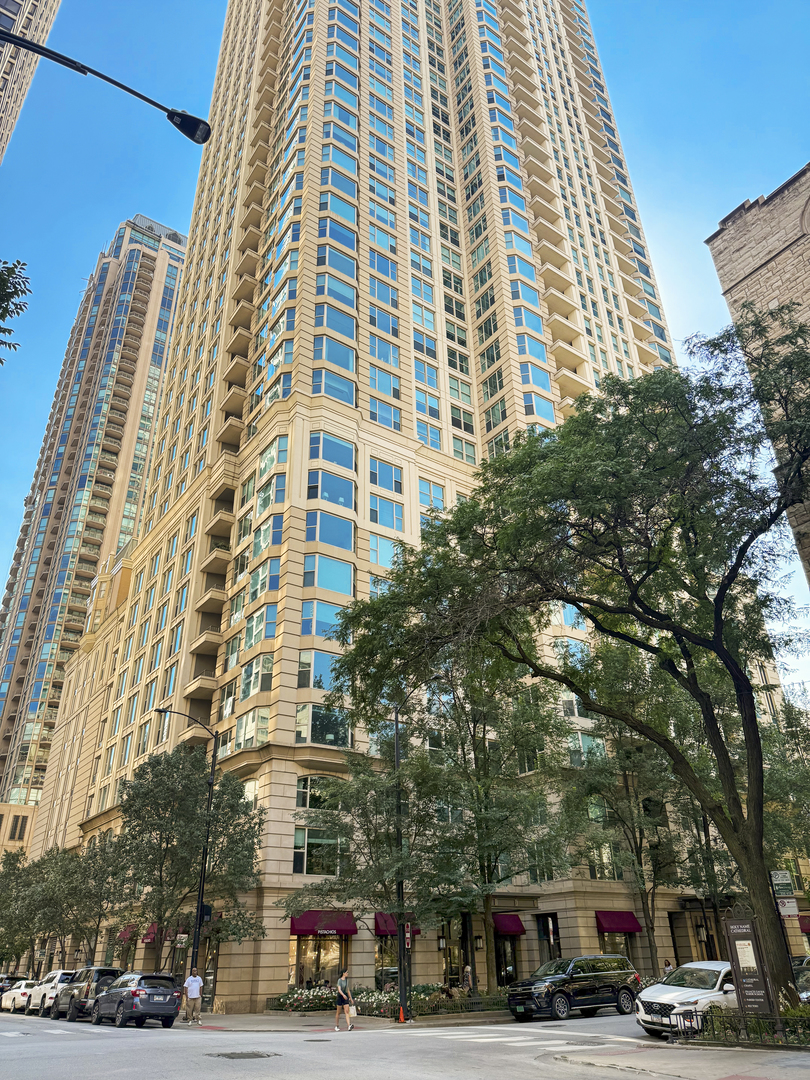 Chicago, Illinois 60611, United States, 1 Bedroom Bedrooms, ,1 BathroomBathrooms,Residential,Contingent,251106