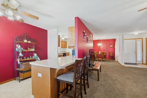 Tiny photo for 529 Chestnut Lane, Peotone, IL 60468 (MLS # 12483251)