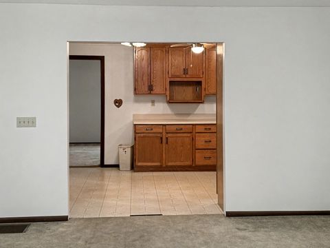 Tiny photo for 107 S Clinton Street, Ashkum, IL 60911 (MLS # 12331501)