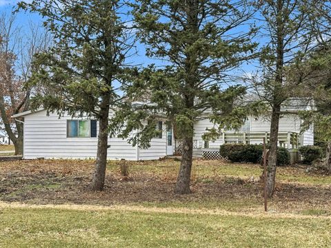 Tiny photo for 107 S Clinton Street, Ashkum, IL 60911 (MLS # 12331501)