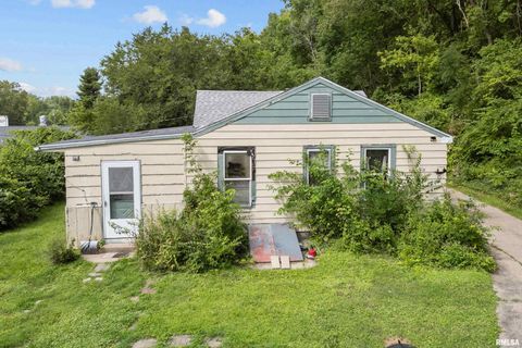 Photo of 242 S STATE Avenue, Hampton, IL 61256 (MLS # QC4265675)