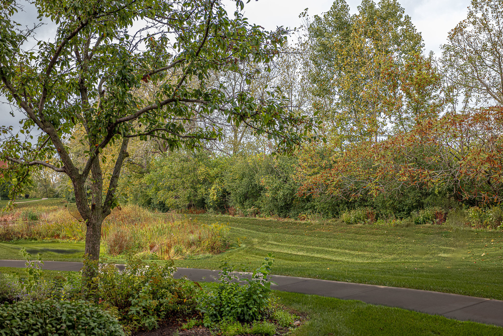 6830 W WINDING Trail 102