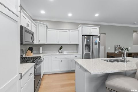 Tiny photo for 3970 ORCHARD Drive, Bettendorf, IA 52722 (MLS # QC4267978)