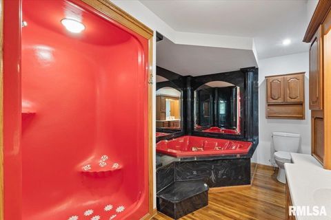 Tiny photo for 1610 WISCONSIN Street, Le Claire, IA 52753 (MLS # QC4265679)